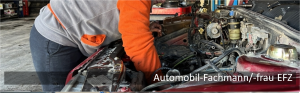 Automieten Auto miete Seedorf Siselen